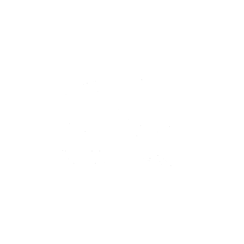 Novial