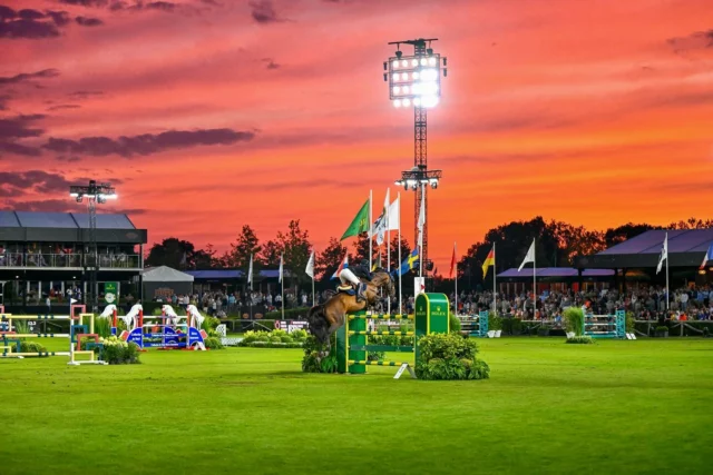 The sky is on fire in Brussels 🔥 

•| Dexter de Kerglenn x @jeannesadran jumping clear in the Grand Prix Qualifier of the @brussels_stephex_masters 

____

#jeannesadran #skyonfire #brussels #brusselsstephexmasters #clearround